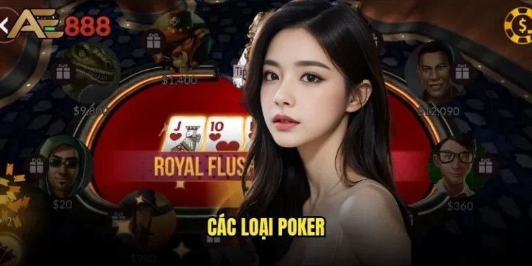 Các loại Poker ae888 nào phù hợp với trình độ của bạn? 8 Các loại Poker