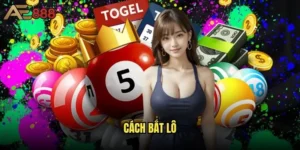 Cách bắt lô