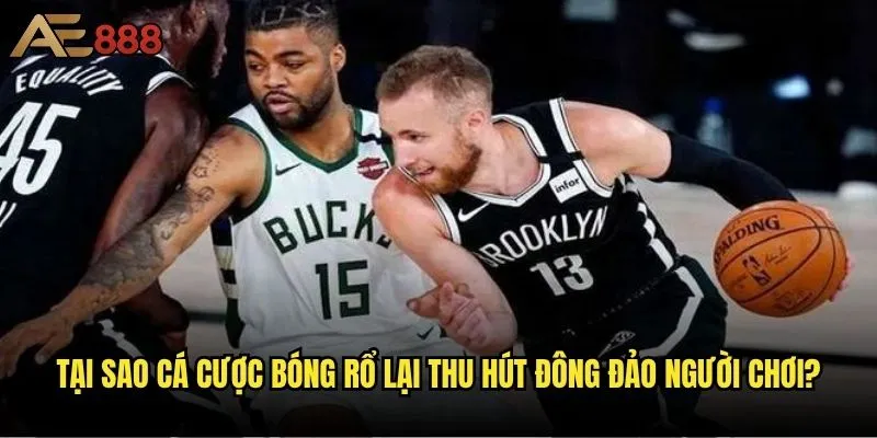 Cá cược bóng rổ tại AE888 có phải là lựa chọn tốt nhất cho người mới? 1 Tại sao cá cược bóng rổ lại thu hút đông đảo người chơi?