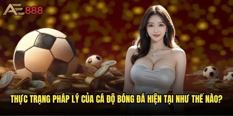 Cá độ bóng đá ae888 có thực sự hợp pháp tại Việt Nam không? 1 Thực trạng pháp lý của cá độ bóng đá hiện tại như thế nào?