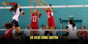 Cá cược bóng chuyền