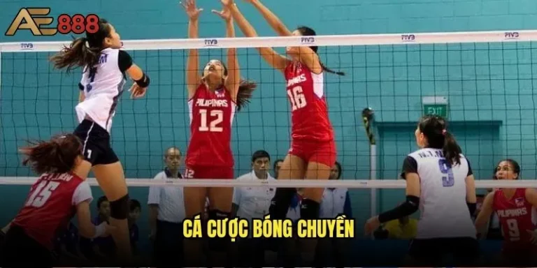 Cá cược bóng chuyền tại ae888 có thực sự mang lại lợi nhuận cao? 12 Cá cược bóng chuyền