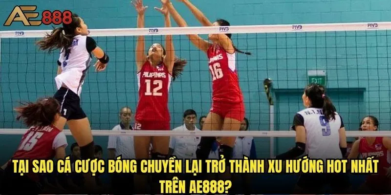 Cá cược bóng chuyền tại ae888 có thực sự mang lại lợi nhuận cao? 1 Tại sao cá cược bóng chuyền lại trở thành xu hướng hot nhất trên ae888?