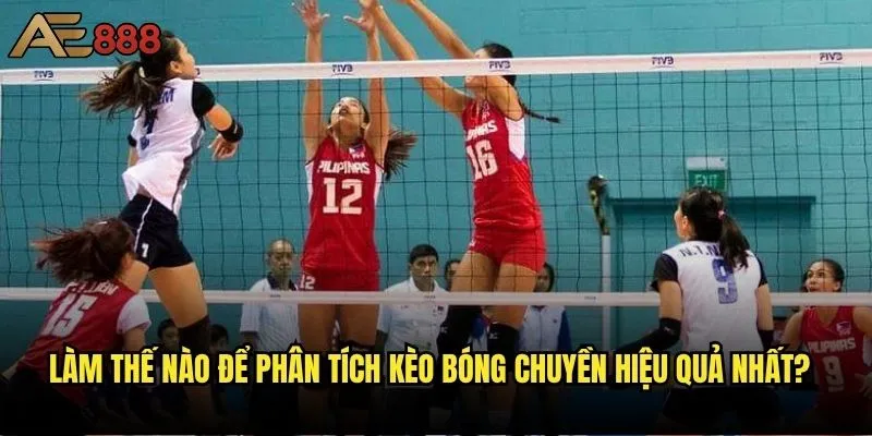 Cá cược bóng chuyền tại ae888 có thực sự mang lại lợi nhuận cao? 2 Làm thế nào để phân tích kèo bóng chuyền hiệu quả nhất?
